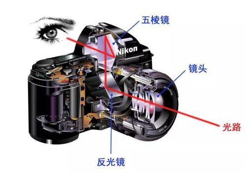 什么是单反的五棱镜？